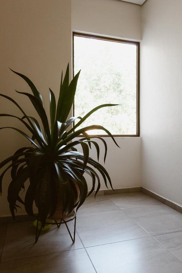 Hotel Guiva Aeropuerto Oaxaca 外观 照片